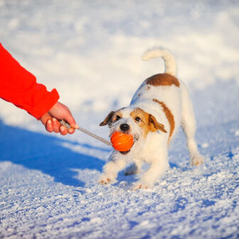 Liker Cord duurzaam hondenspeeltje