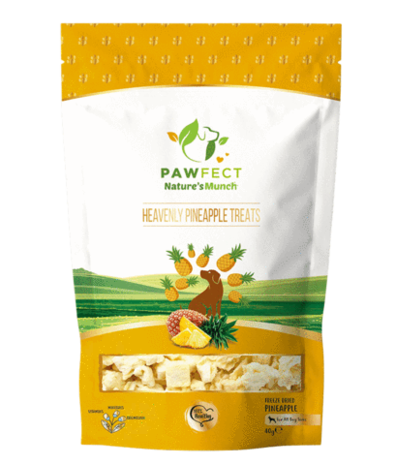 Pawfect Vega Hondensnack Heavenly Pineapple Treats