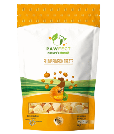 Pawfect Vega Hondensnack Plump Pumpkin Treats