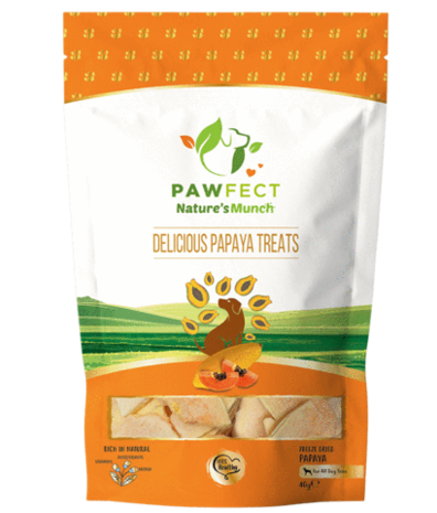 Pawfect Vega Hondensnack Delicious Papaya Treats