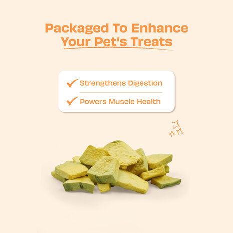 Pawfect Vega Hondensnack Plump Pumpkin Treats