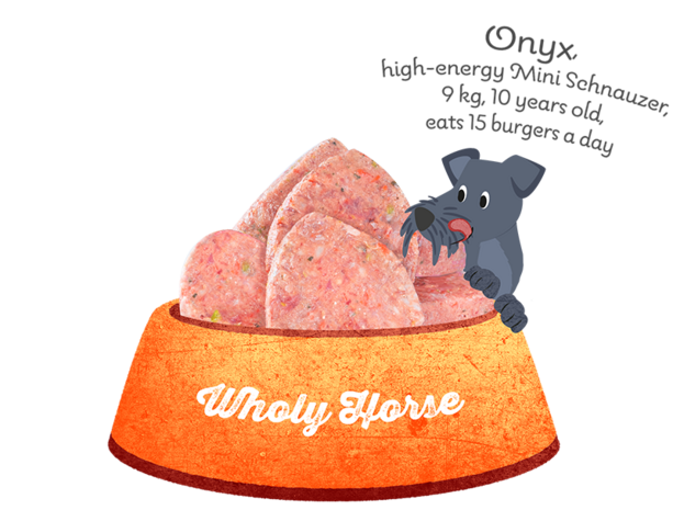Jolipet Wholey Horse vriesverse hamburgers