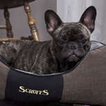 Scruffs Zacht Hondenmandje voor de kleine Hond Scruffs Zacht Hondenmandje voor de kleine Hond