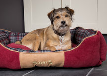 Scruffs Hondenbed Highland Rood Scruffs Hondenbed Highland Rood